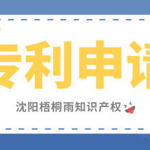 沈陽(yáng)梧桐雨知識(shí)產(chǎn)權(quán)代理公司 助力軟件開發(fā)的全面知識(shí)產(chǎn)權(quán)服務(wù)