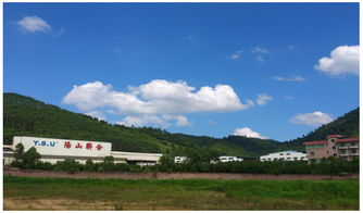 歐博企業(yè)管理咨詢 中國制造業(yè)管理咨詢的領(lǐng)軍者